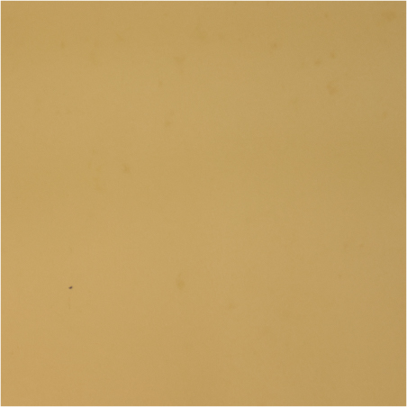 31017 Siah Hoe Beige Cotton Fabric